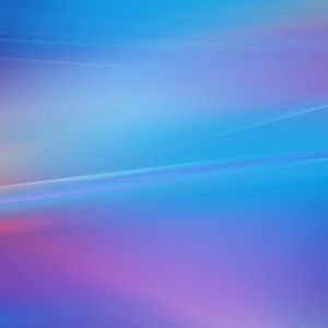 Meet your Posher, Blackbird